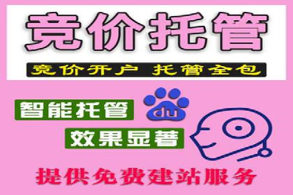 百度推广平台操作技巧：案例解析，提升转化率
